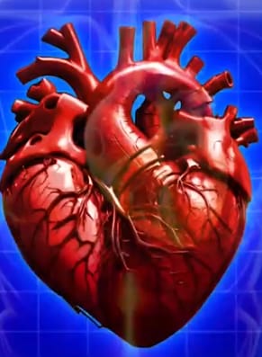 Dr Vinod K Cardiologist | Best Cardiologist in Nagasandra